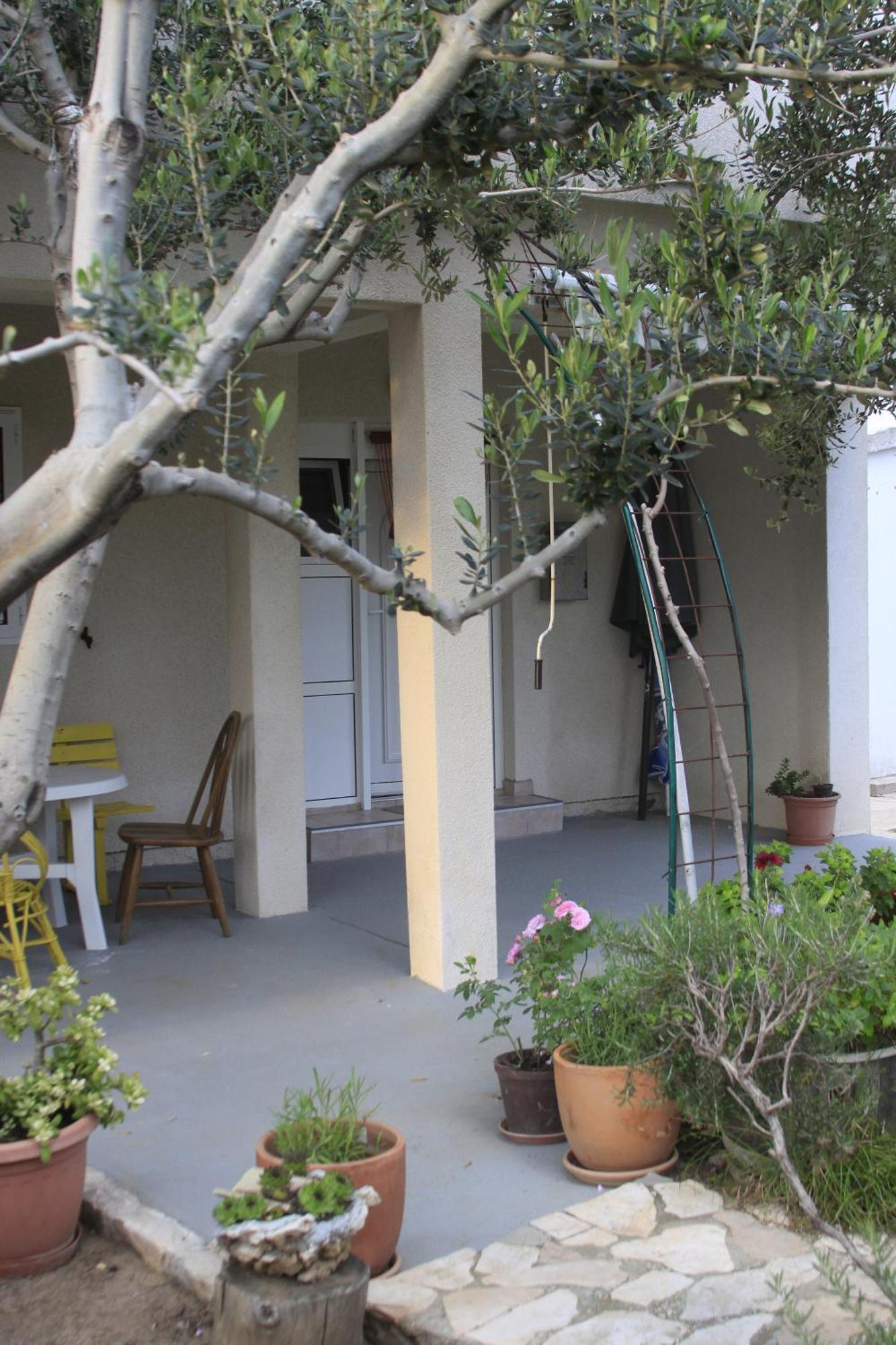 Biba & Lucy Appartement